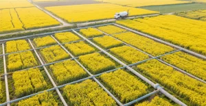 Understanding High-Quality Humic Acid Liquid Fertilizer