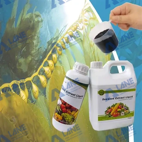 How Can Seaweed Extract Liquid Fertilizer Improve Your Crop Yields?