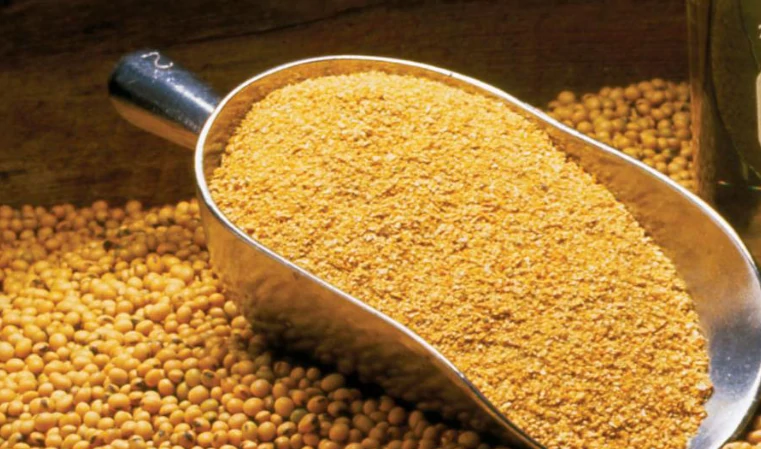 Liquid Fertilizer from Fermented Soybean Meal: A Sustainable Solution for Modern Agriculture