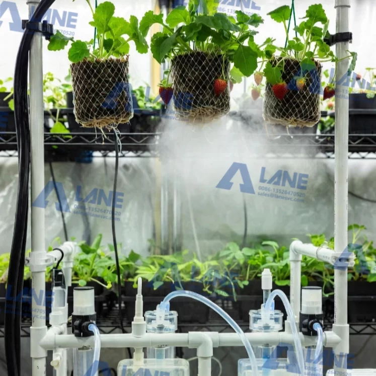 How to Produce 5tph Hydroponic Nutrient Solution: A Complete Guide to Equipment and Production Lines