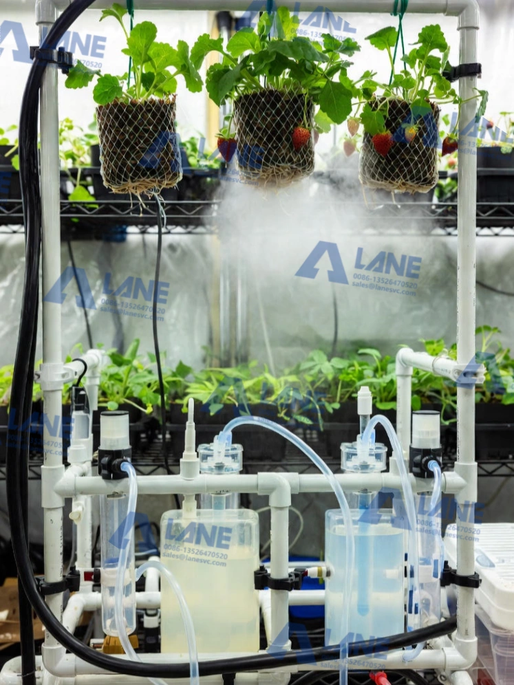 All-Purpose Liquid Fertilizer