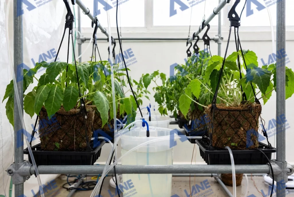 High-Efficiency Liquid Fertilizer Production Line