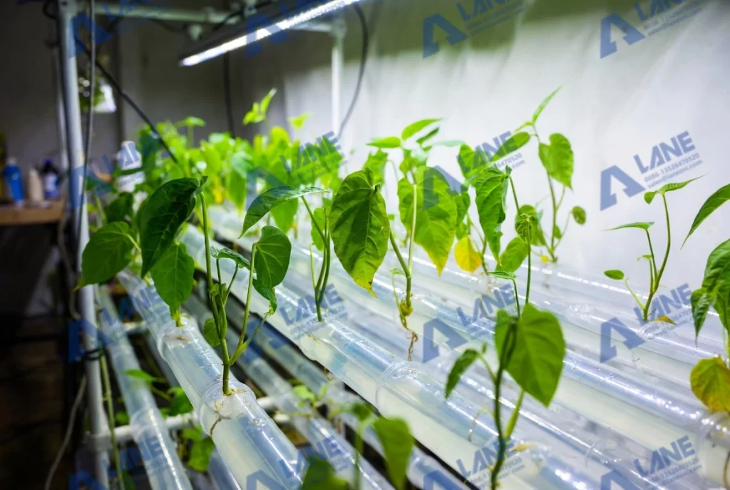 quick release liquid fertilizer