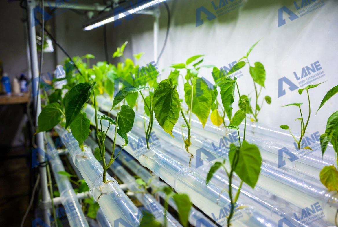 Reduce Waste and Improve Consistency with a Centralized Liquid Fertilizer Line for Greenhouse Fertilizers