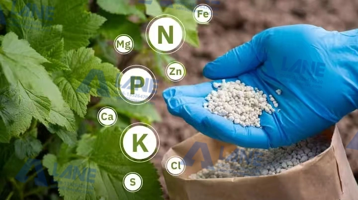 Engineering a Complete NPK Suspension Fertilizer Production Line: From Raw Materials to Final Product