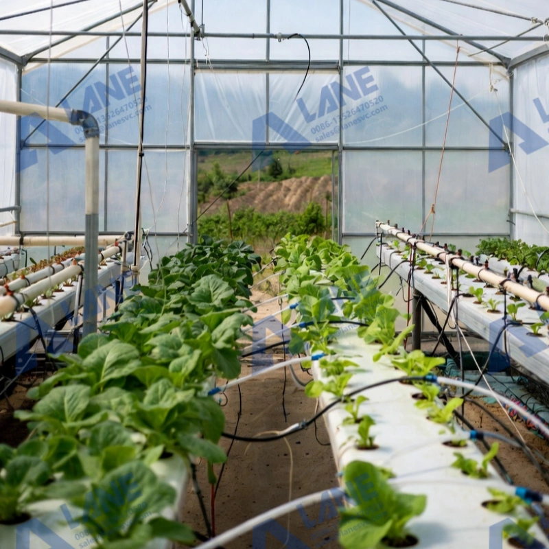 Water-Fertilizer Integration: Revolutionizing Vegetable Greenhouse Farming
