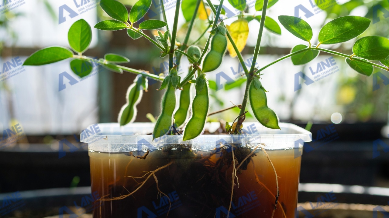 The Advantages of a Modern Liquid Organic Fertilizer Plant for Bean Production Line from LANE Heavy Industry’s Machinery